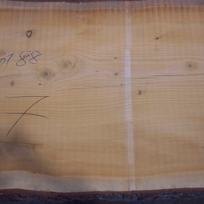 Lebanon Cedar, table top, approx. 3200 x 880(1020) x 80 mm, 12821