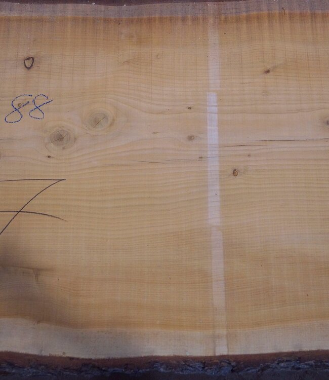 Libanon Zeder Tischplatte, ca. 3200 x 880(1020) x 80 mm, 12821