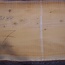 Lebanon Cedar, table top, approx. 3200 x 880(1020) x 80 mm, 12821