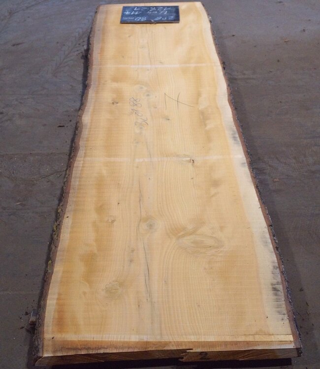 Libanon Zeder Tischplatte, ca. 3200 x 880(1020) x 80 mm, 12821