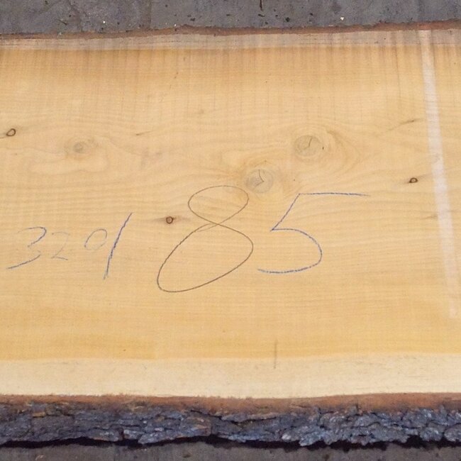 Lebanon Cedar, table top, approx. 3200 x 850(950) x 80 mm, 12822