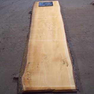 Lebanon Cedar, table top, approx. 3200 x 850(950) x 80 mm, 12822