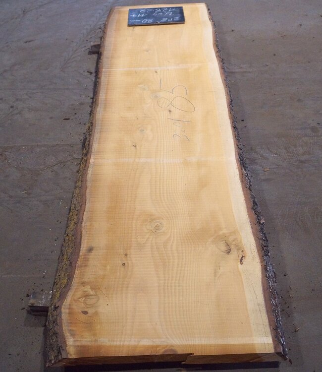 Libanon Zeder Tischplatte, ca. 3200 x 850(950) x 80 mm, 12822