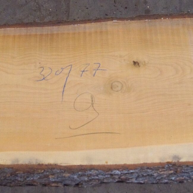 Lebanon Cedar, table top, approx. 3200 x 770(820) x 80 mm, 12823