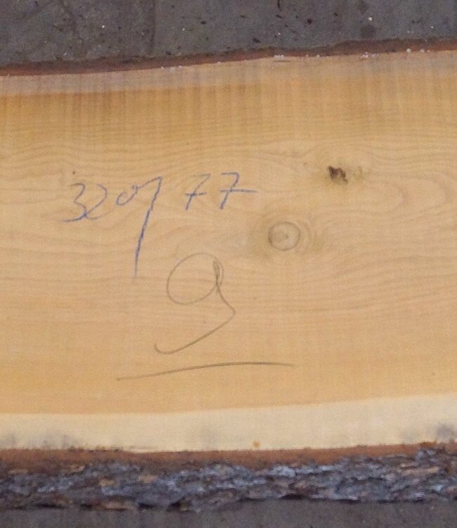 Libanon Zeder Tischplatte, ca. 3200 x 770(820) x 80 mm, 12823