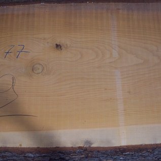 Lebanon Cedar, table top, approx. 3200 x 770(820) x 80 mm, 12823