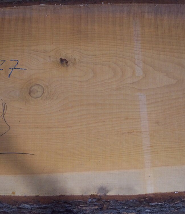 Libanon Zeder Tischplatte, ca. 3200 x 770(820) x 80 mm, 12823