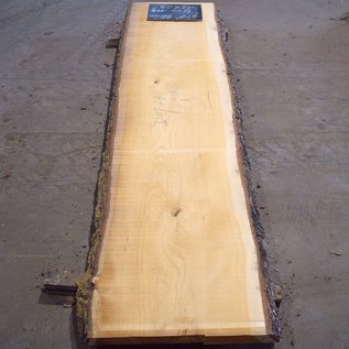 Lebanon Cedar, table top, approx. 3200 x 770(820) x 80 mm, 12823