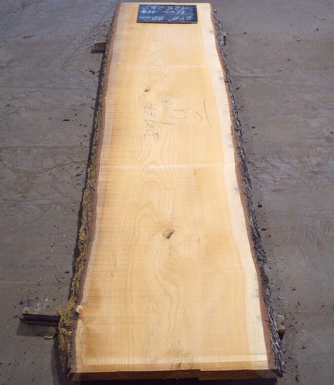 Libanon Zeder Tischplatte, ca. 3200 x 770(820) x 80 mm, 12823