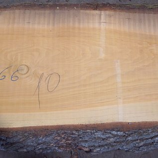 Lebanon Cedar, board, approx. 3200 x 660(720) x 80 mm, 12824