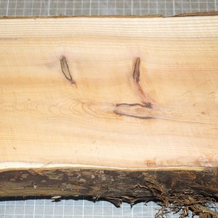 Yew, approx. 300 x 160 x 84 mm, 2,8 kg