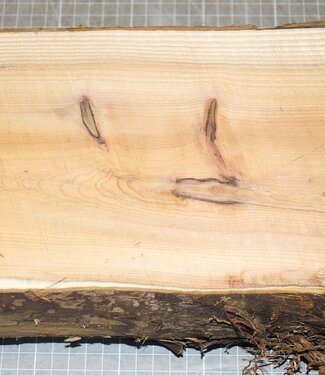 Yew, approx. 300 x 160 x 84 mm, 2,8 kg