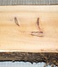 Yew, approx. 300 x 160 x 84 mm, 2,8 kg