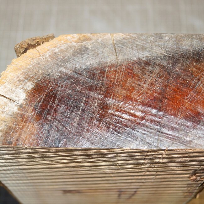 Yew, approx. 300 x 160 x 84 mm, 2,8 kg