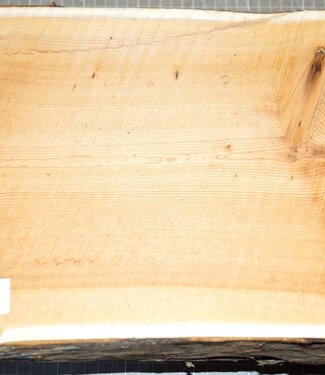 Yew, approx. 285 x 220 x 125 mm, 4,7 kg