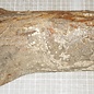 Goldregen, ca. 330 x 110-170 x 40-62 mm, 1,8 kg