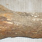 Laburnum, approx. 330 x 110-180 x 45-80 mm, 2,3 kg