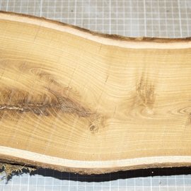 Laburnum, approx. 410 x 140-180 x 75 mm, 3,7 kg