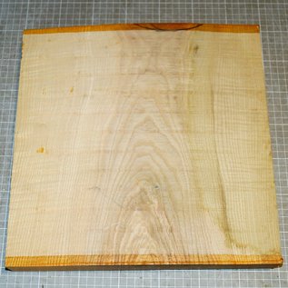 Ash fiddleback, approx. 325 x 325 x 40 - 52 mm, 3,8 kg