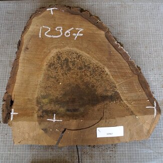 Nussbaum Baumscheibe, ca. 530 x 490 x 52 mm, 12967