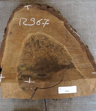 Nussbaum Baumscheibe, ca. 530 x 490 x 52 mm, 12967