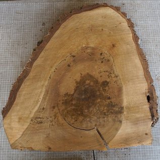 Walnut slab, approx. 530 x 490 x 52 mm, 12967