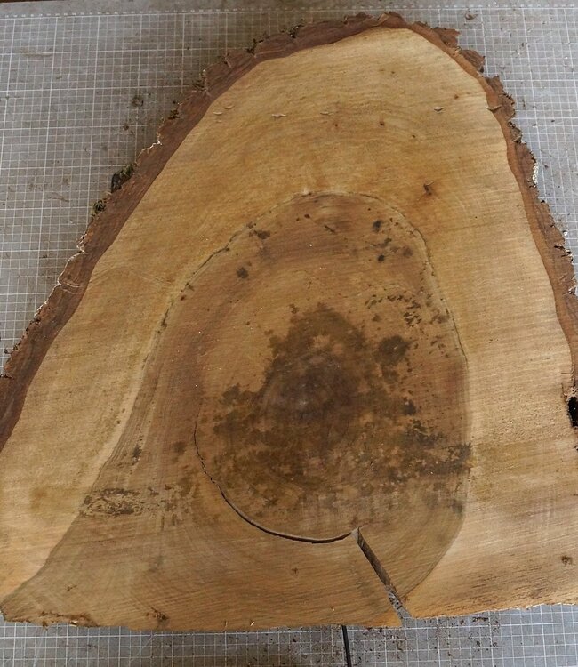 Nussbaum Baumscheibe, ca. 530 x 490 x 52 mm, 12967