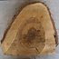 Walnut slab, approx. 530 x 490 x 52 mm, 12967