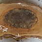 Walnut slab, approx. 880 x 430 x 52 mm, 12957