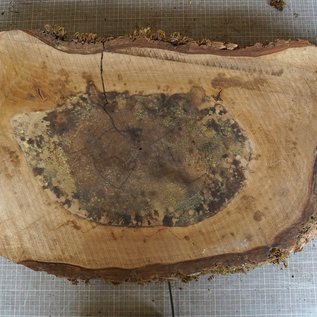 Walnut slab, approx. 880 x 430 x 52 mm, 12957