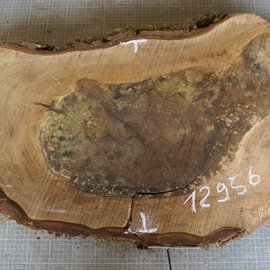 Walnut slab, approx. 860 x 430 x 52 mm, 12956