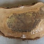Walnut slab, approx. 860 x 430 x 52 mm, 12956