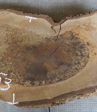 Walnut slab, approx. 750 x 460 x 52 mm, 12953