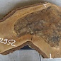 Walnut slab, approx. 780 x 540 x 52 mm, 12952