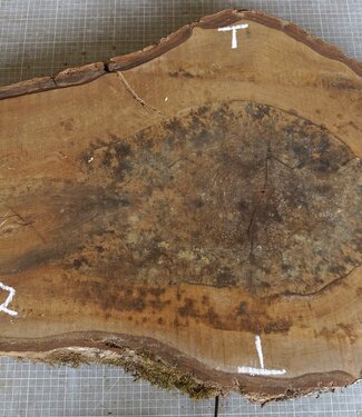 Walnut slab, approx. 770 x 500 x 52 mm, 12947