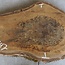 Walnut slab, approx. 770 x 500 x 52 mm, 12947