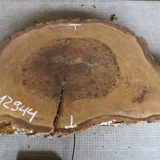 Nussbaum Baumscheibe, ca. 780 x 430 x 52 mm, 12944