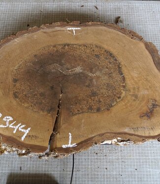 Walnut slab, approx. 780 x 430 x 52 mm, 12944
