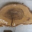 Nussbaum Baumscheibe, ca. 780 x 430 x 52 mm, 12944