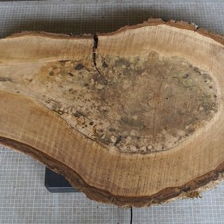 Nussbaum Baumscheibe, ca. 770 x 450 x 52 mm, 12940