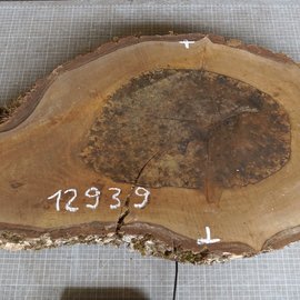 Nussbaum Baumscheibe, ca. 780 x 430 x 52 mm, 12939