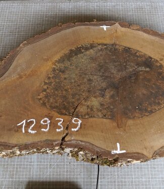 Nussbaum Baumscheibe, ca. 780 x 430 x 52 mm, 12939