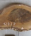 Nussbaum Baumscheibe, ca. 780 x 430 x 52 mm, 12939
