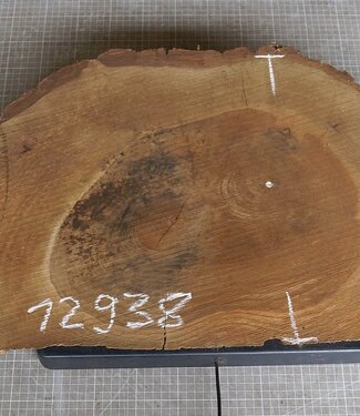 Nussbaum Baumscheibe, ca. 630 x 400 x 52 mm, 12938