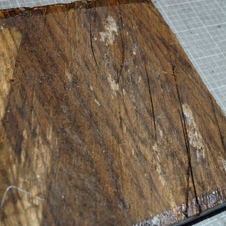 Zebrawood, approx. 270 x 270 x 50 mm, 2,9 kg