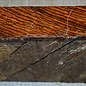 Zebrawood, approx. 270 x 270 x 50 mm, 2,9 kg