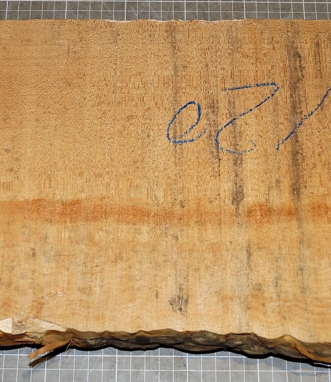 Softmaple, gemuschelt, ca. 550 x 230 x 50 mm, 4,2 kg