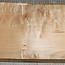 Softmaple, gemuschelt, ca. 570 x 220 x 52 mm, 4,2 kg