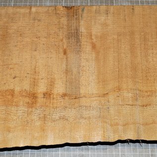 Softmaple, gemuschelt, ca. 570 x 220 x 52 mm, 4,2 kg