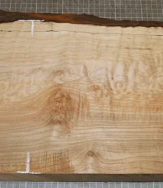 Softmaple, gemuschelt, ca. 700 x 260 x 53 mm, 5,8 kg